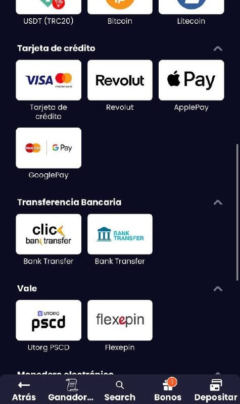 slotsgem metodo de pago alternative